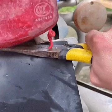 Car Fastener Set