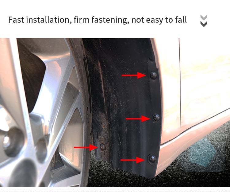 Car Fastener Set